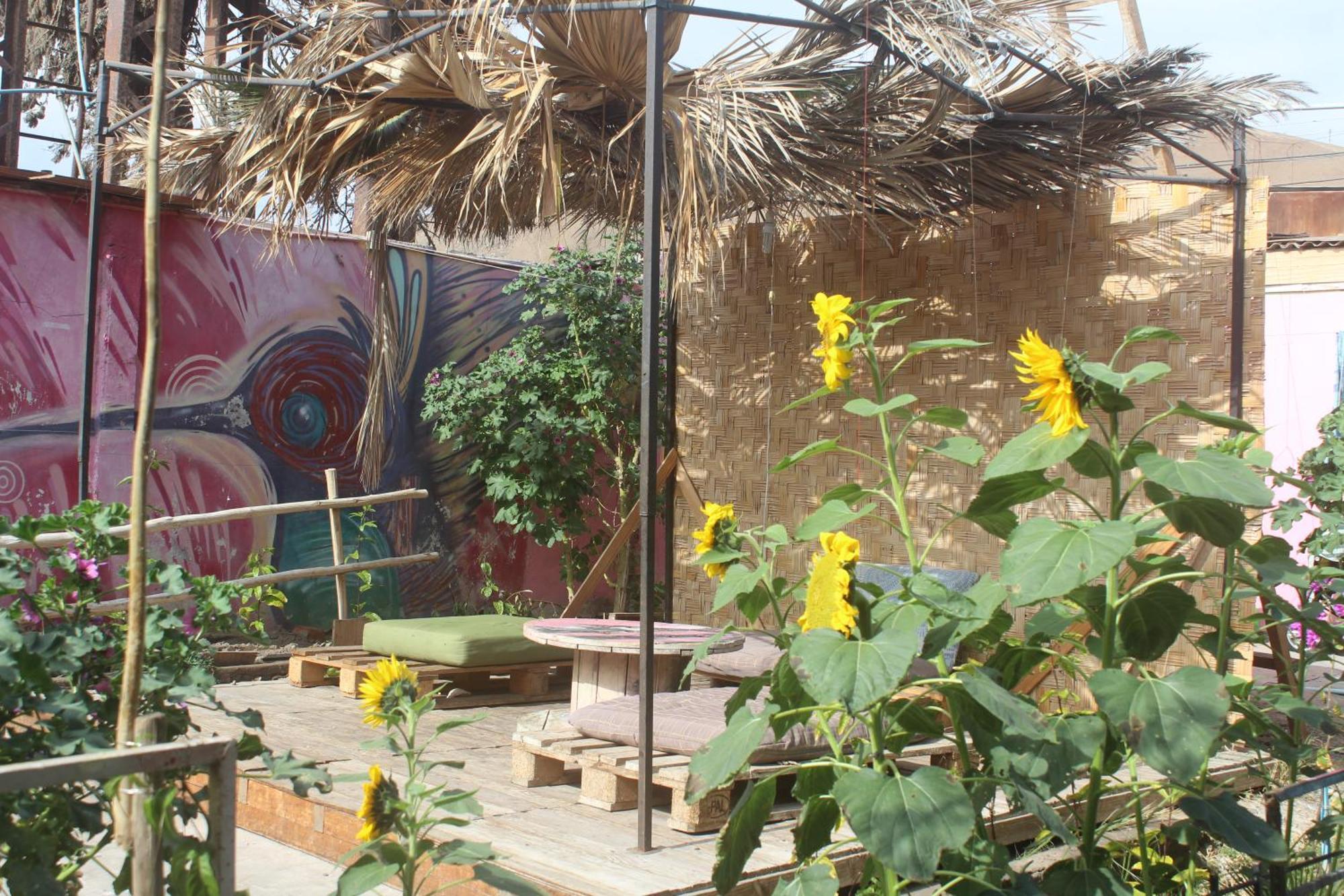 Hostel Posada De Gallo Arica Extérieur photo