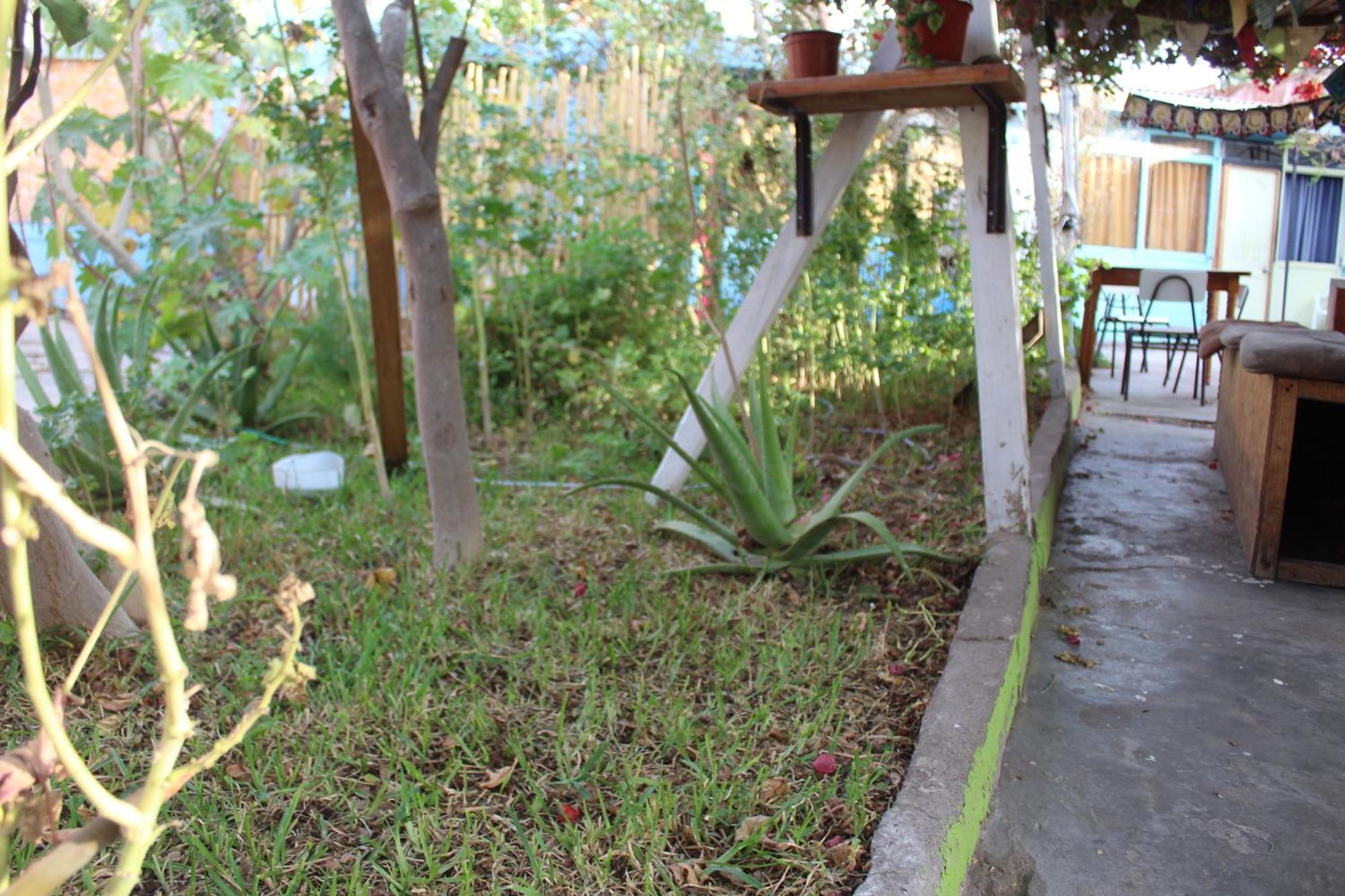 Hostel Posada De Gallo Arica Extérieur photo